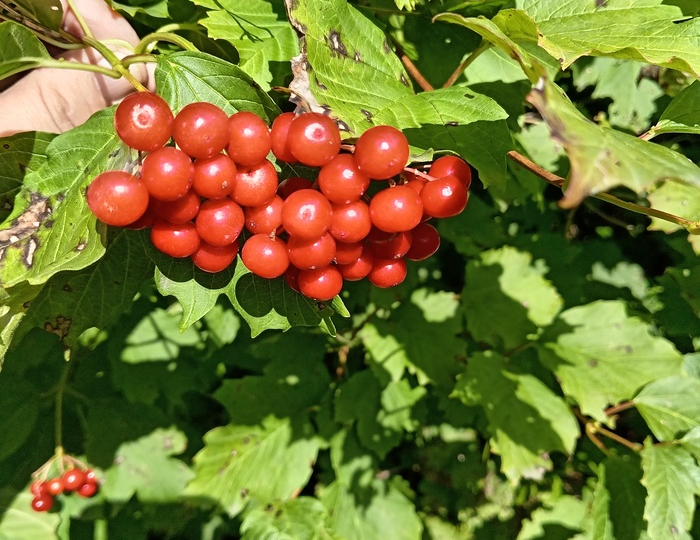 Жизнь после. Не могла писать