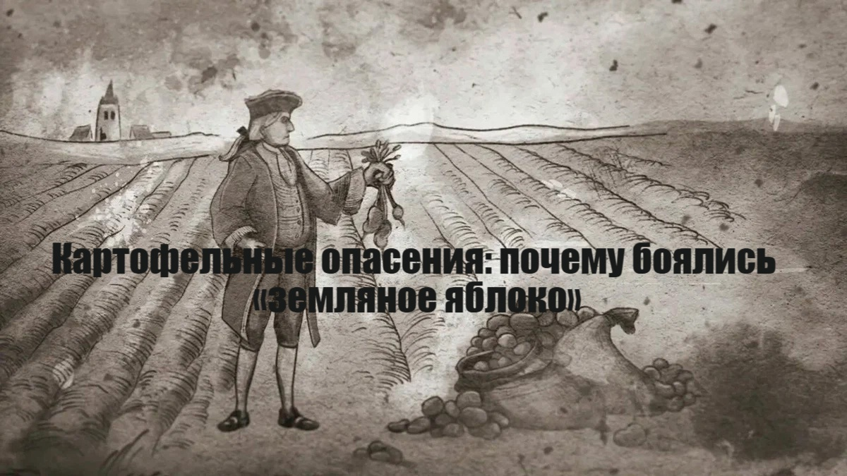 Картофельные бунты — массовые выступления удельных (1834 год) и государственных (1840–1844 года) крестьян в России. Фото:tvzvezda.ru