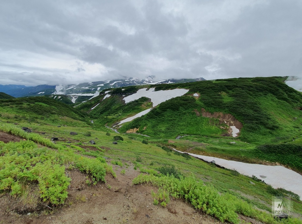    Просторы Камчатки / Источник: Алексей Иванов © ИА REGNUM