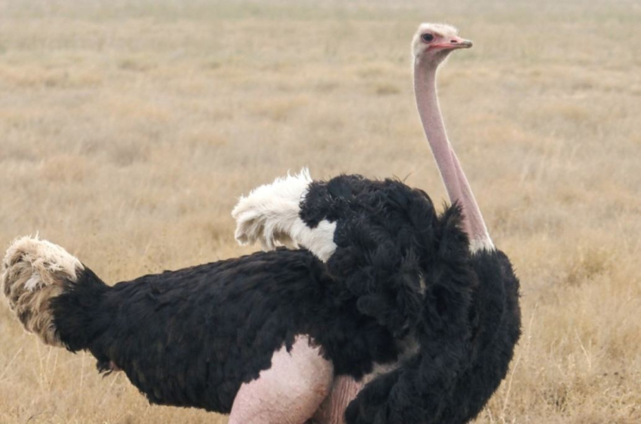    Soeren Stache/dpa/Global Look Press