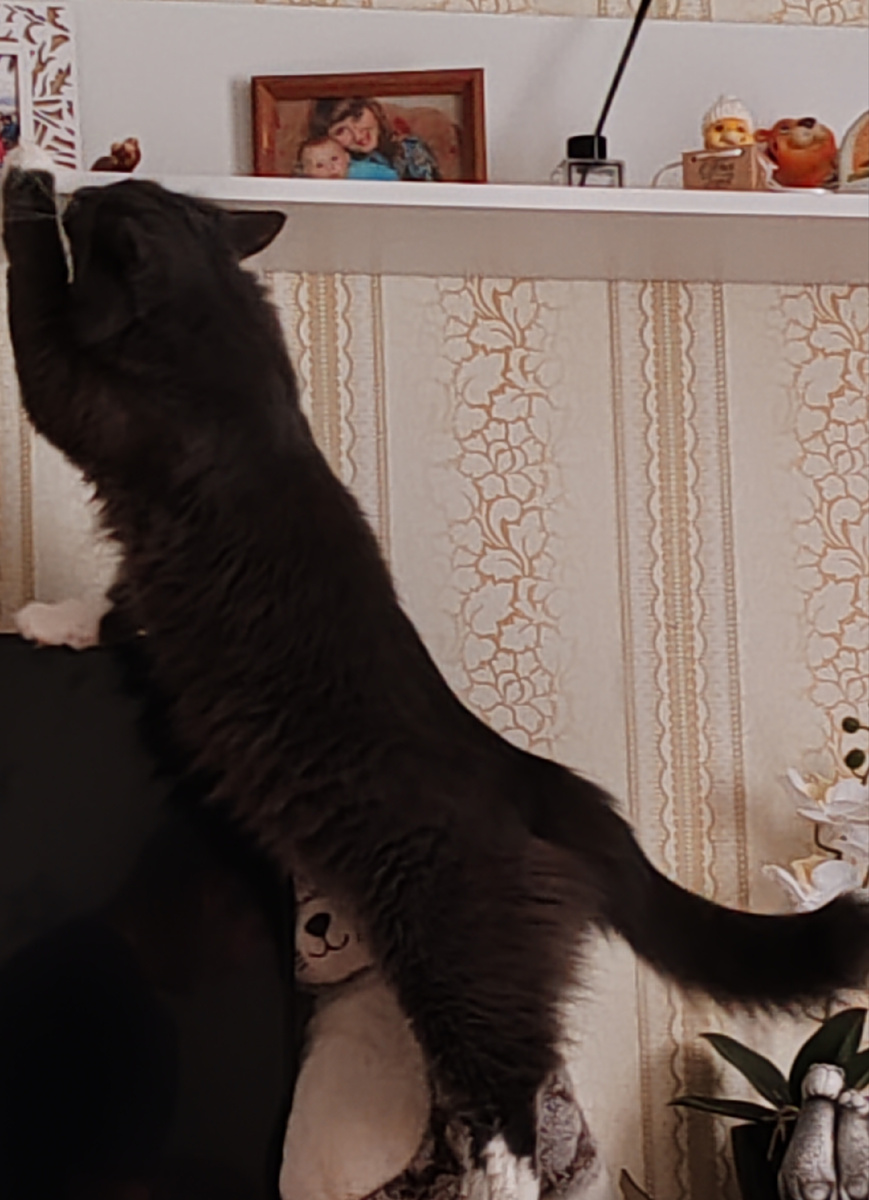 Фото автора канала. 