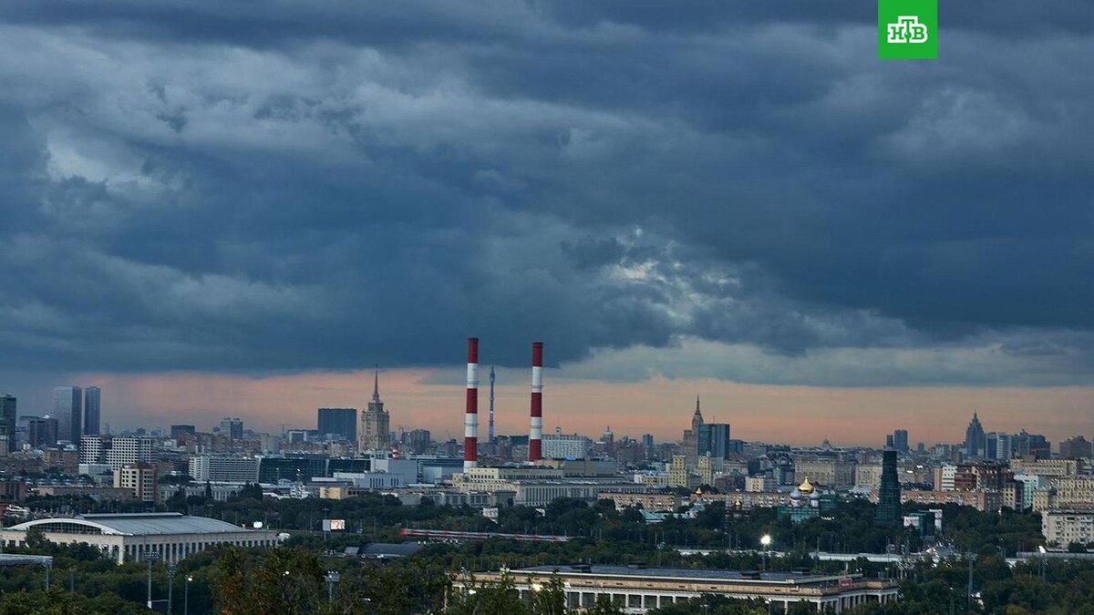    Фото: М. Денисова / mos.ru