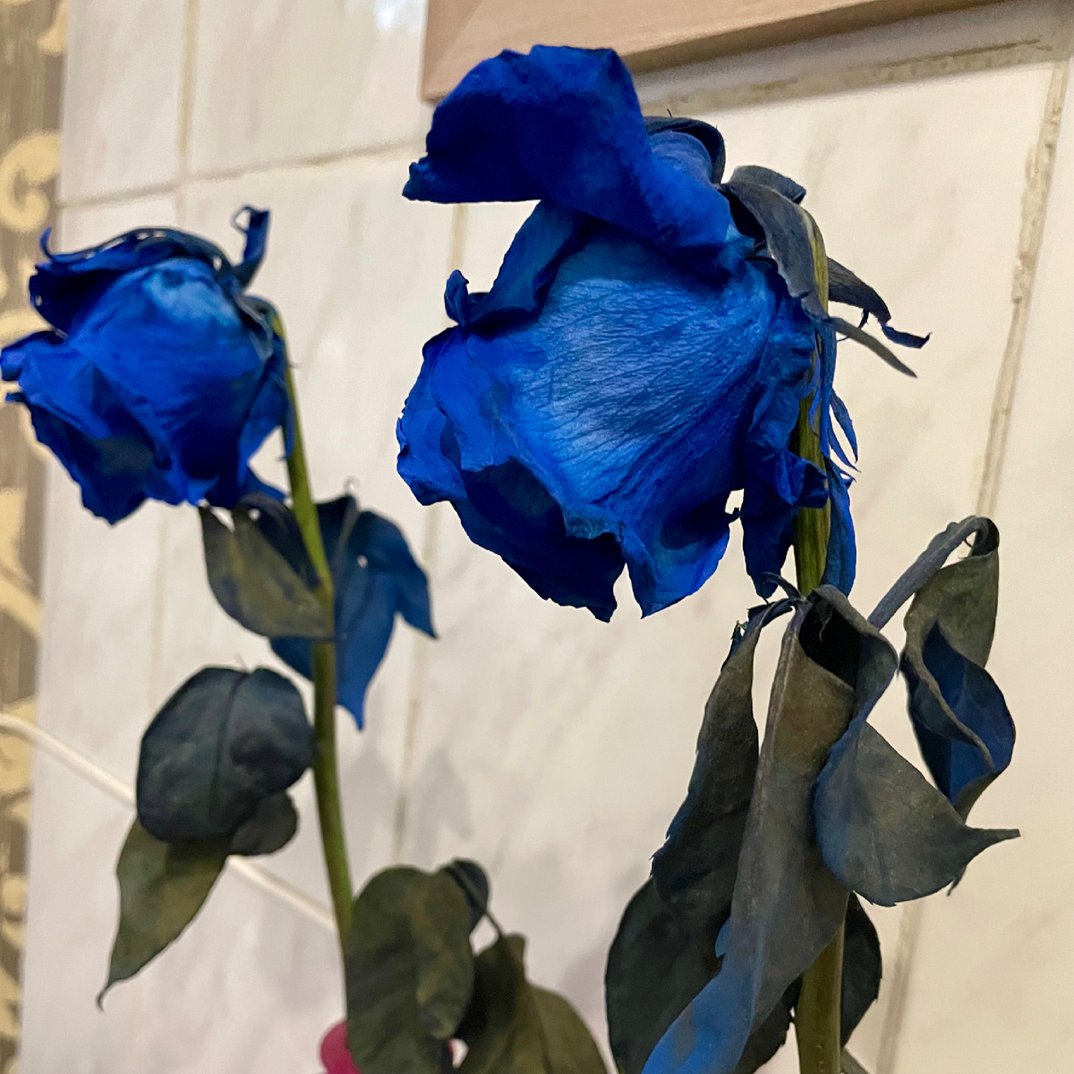 Посмотрела сейчас на эти розочки, и увидела в них обиженную себя. 