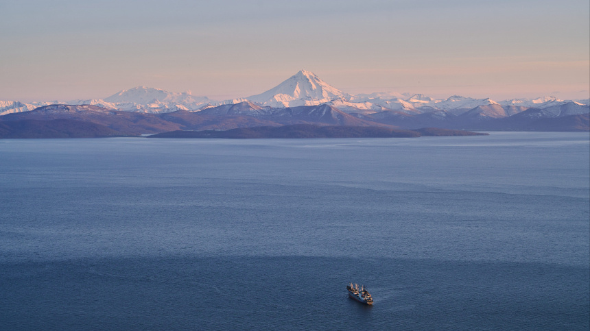    Фото: www.globallookpress.com/ Guo Feizhou