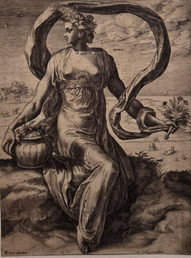 Корнелис Корт. По рисунку Франса Флориса де Вриндта. Напеа. 1564
