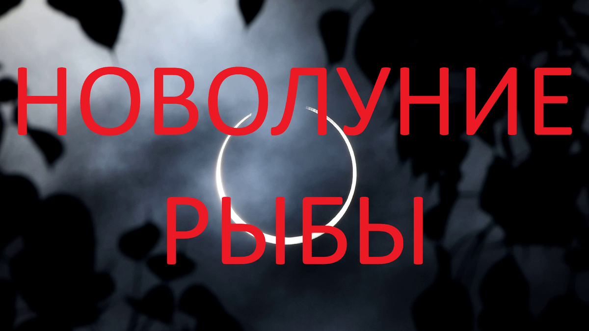 Новолуние в Деве. Фото Pinterest