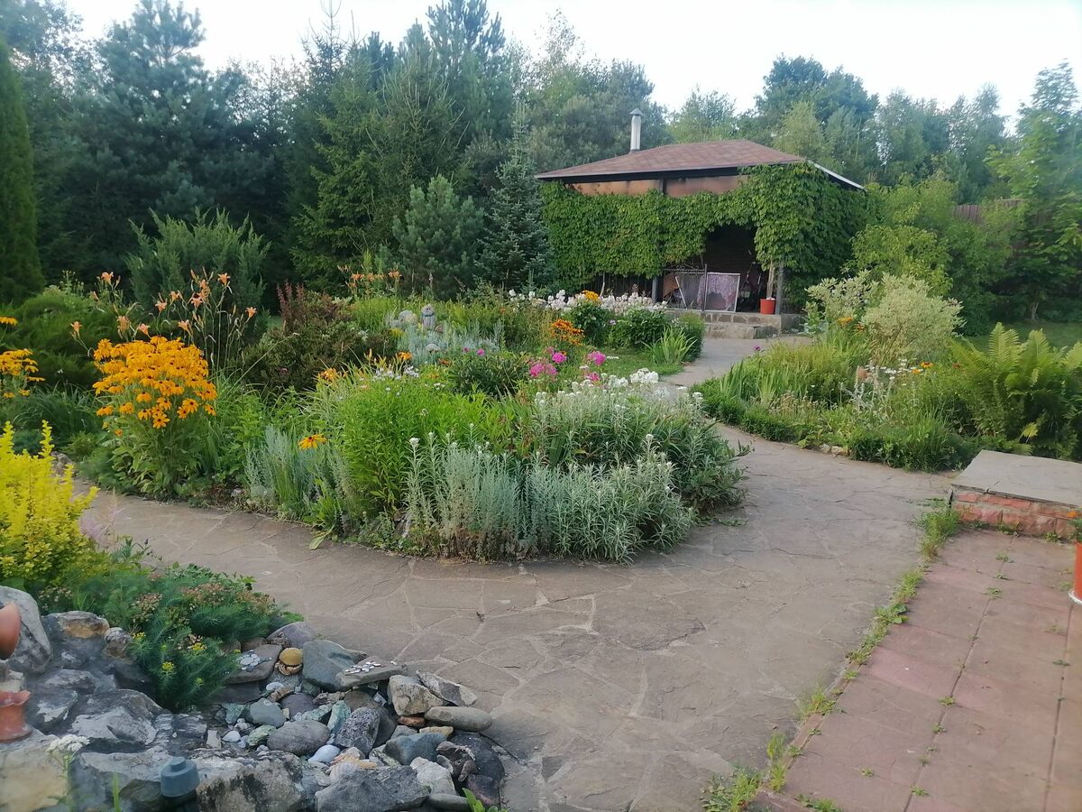 Многоцветие сада