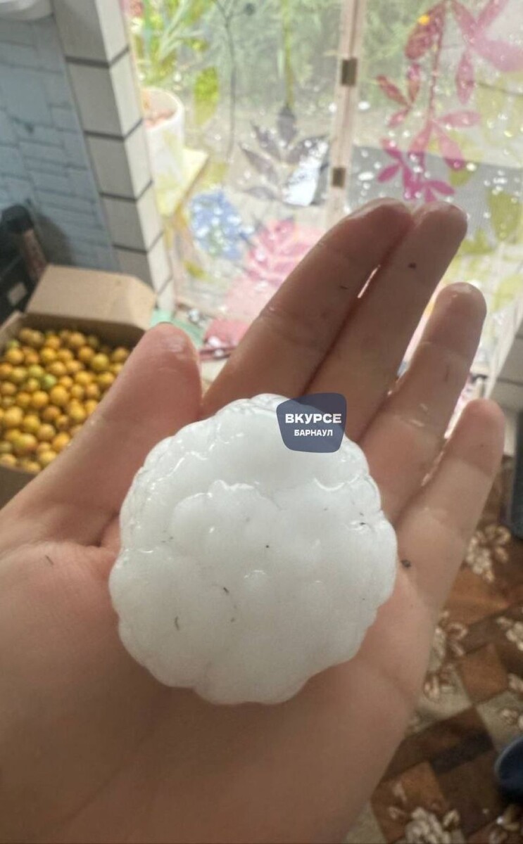    Град уничтожил урожай и домашнюю птицу. Источник: "В курсе 22"