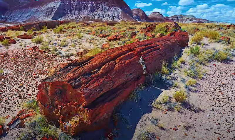 Фото парка "Окаменелый лес" в Аризоне 