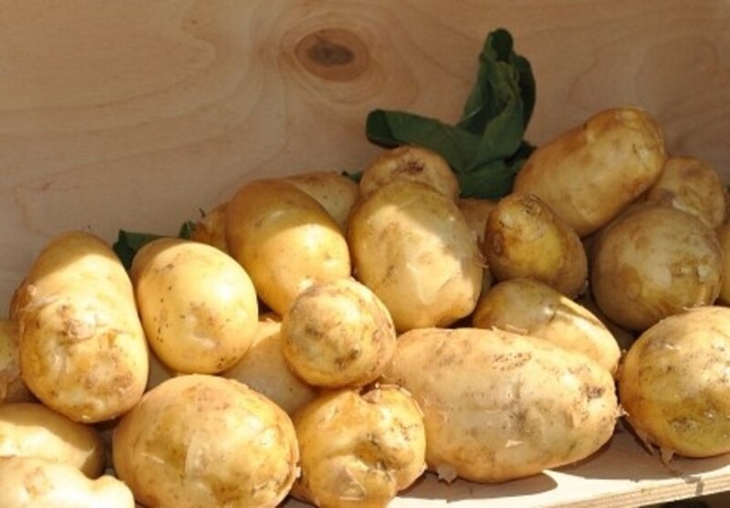    Иллюстрация фотобанка Ростовского отделения СЖР admin