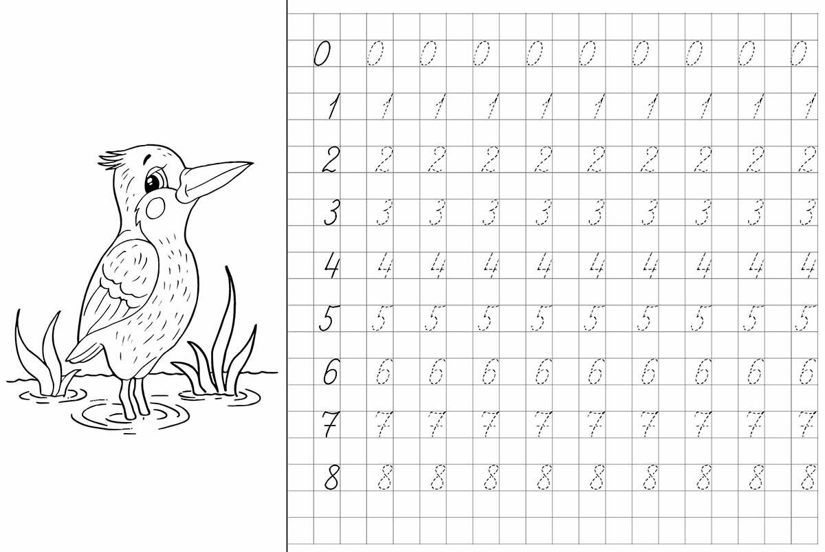 Прописи цифр