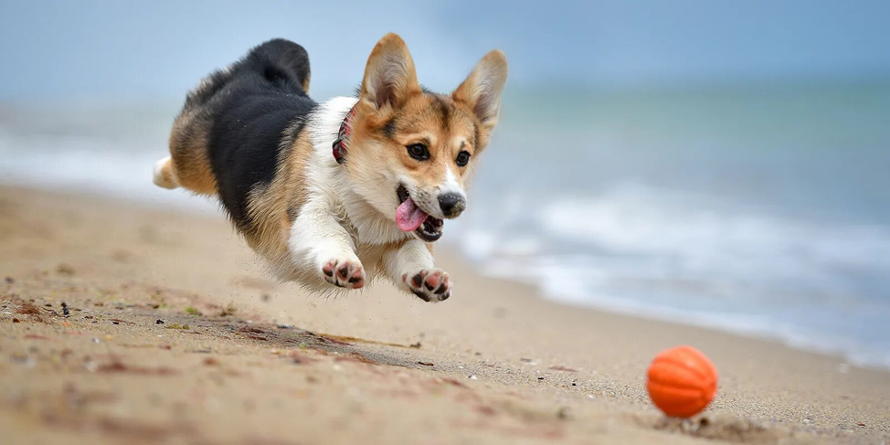 Фото: lifehacker.ru