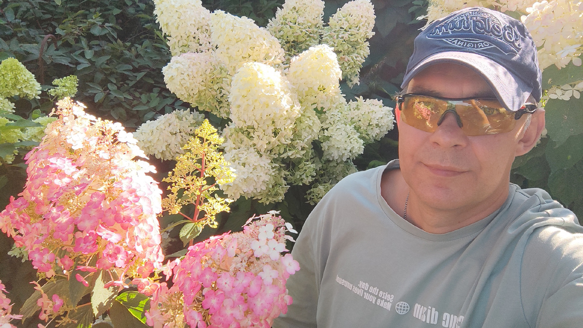 Сейчас в моей коллекции уже более 20 сортов метельчатой гортензии.