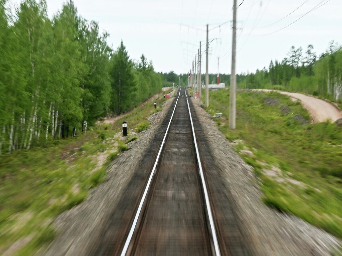    Вид из кабины машиниста пассажирского поезда© РИА Новости / Станислав Красильников