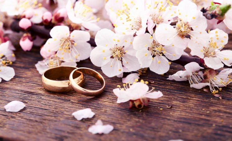 Свадьба в мае