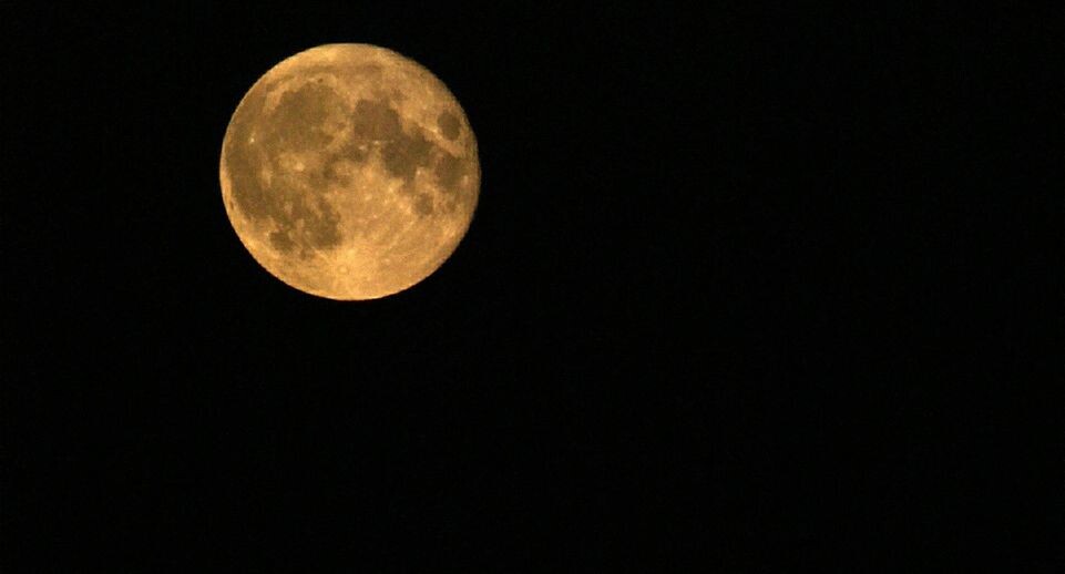    Alexander Legky / www.globallookpress.com