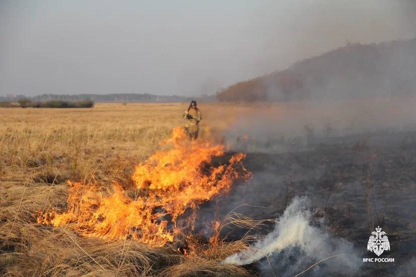    Фото: МЧС России