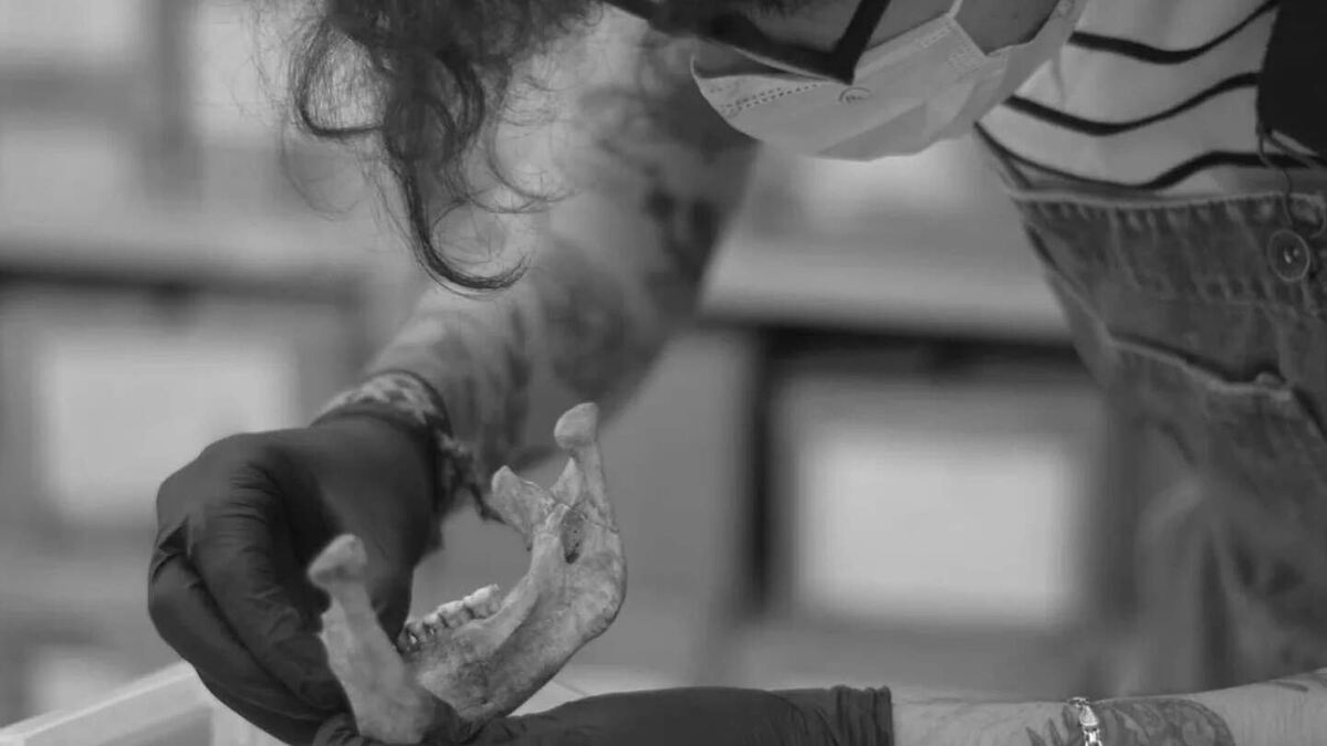     Фото: University of Colorado Boulder