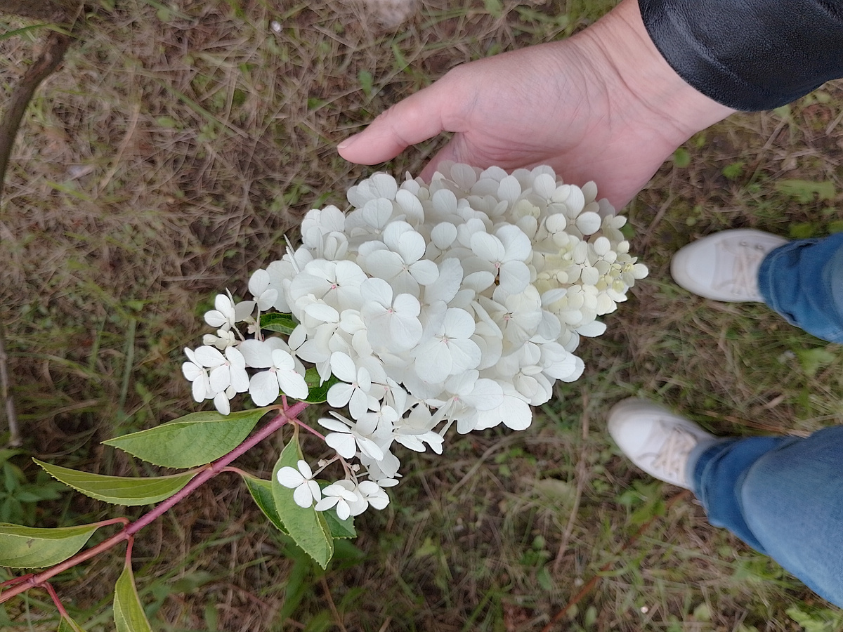 Фото автора. По-моему, красивое фото вышло. И под кеды подходит.