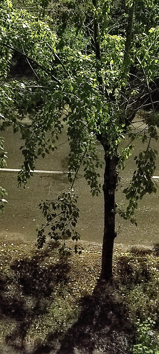 Старая "дождливая" фотка