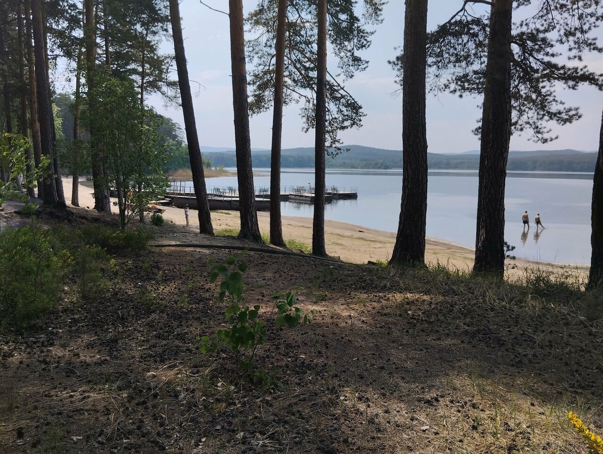 С палатками на озере можно остановится бесплатно. Но пляжи обустроены только на базах отдыха. В лесу, как правило, берега каменистые. Фото: Алеся С. / Яндекс Карты