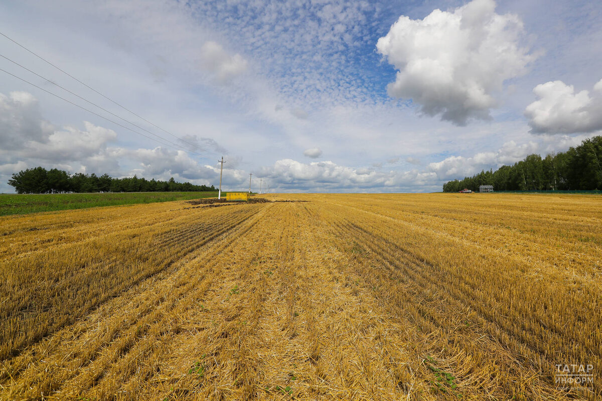 Фото: © Салават Камалетдинов / «Татар-информ»