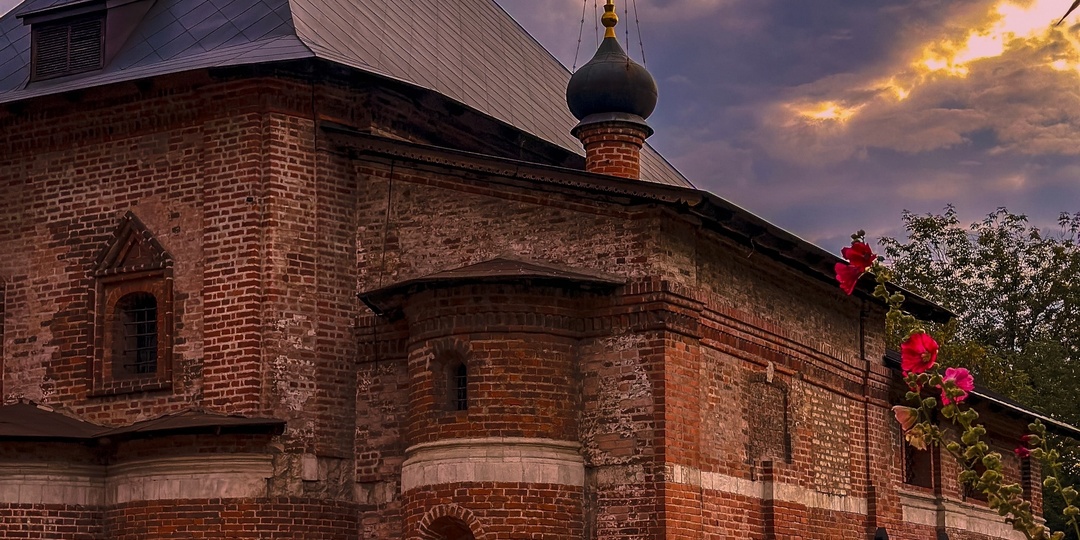 Будущее человечества