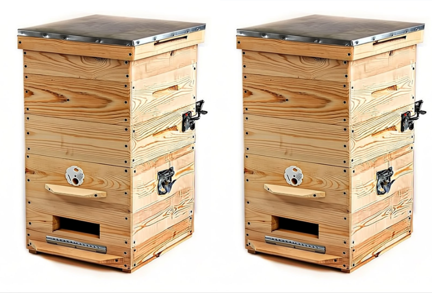 Два улья Дадан