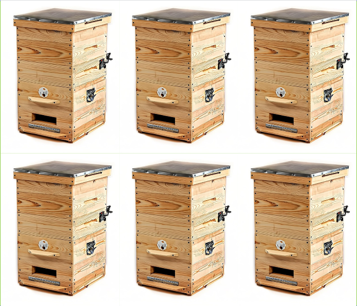 Чтобы разместить отводки иди рои от 2 семей вам потребуется 4-6 ульев Дадан