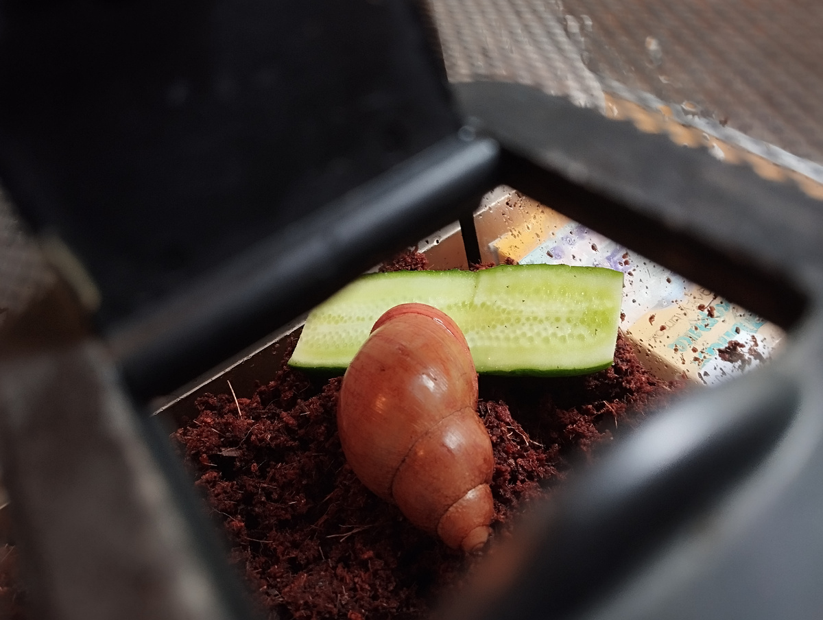 После смены грунта... Мое фото.