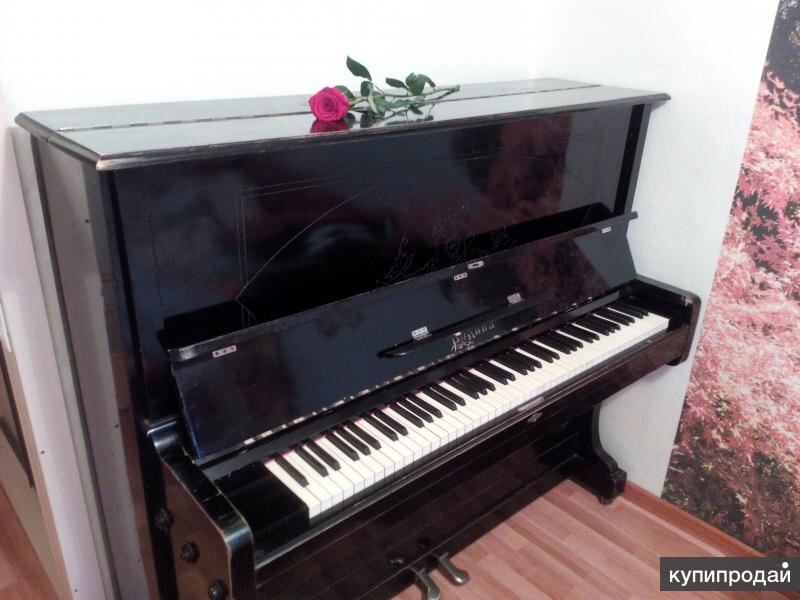 Фото из интернета, свое куда-то "исчезло". Но точно такое же.