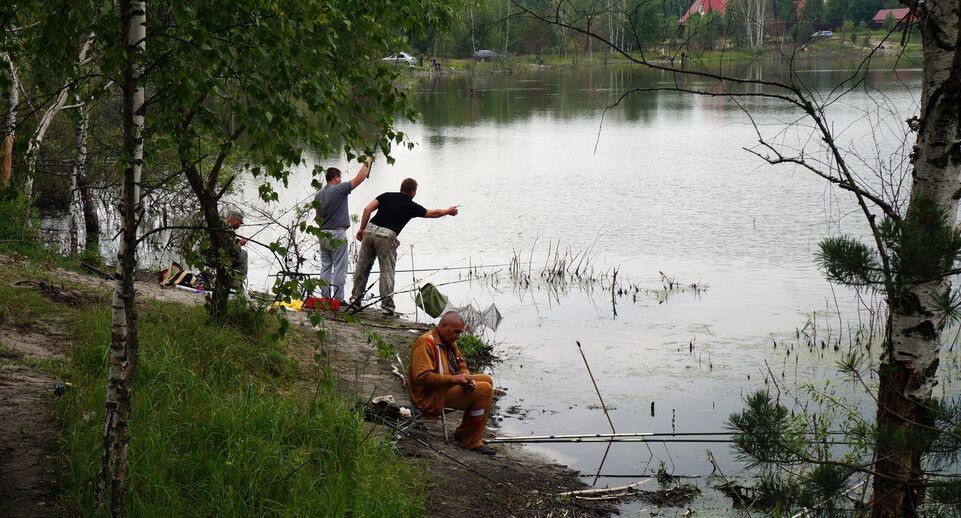    Медиасток.рф
