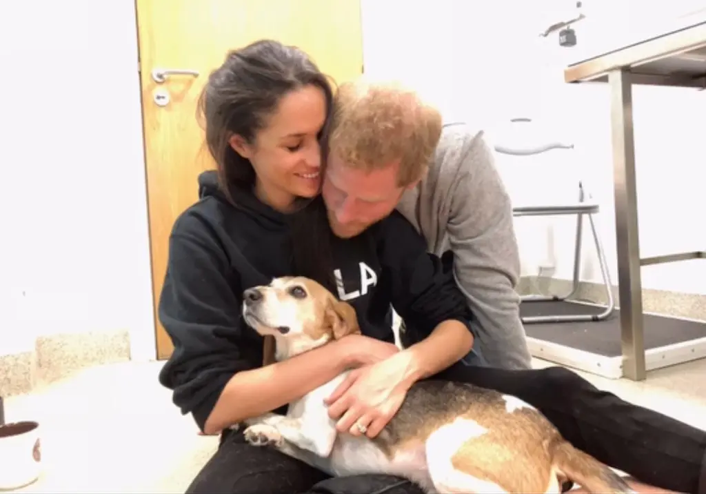 Из интернета