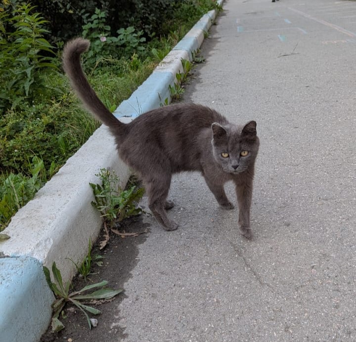 Красотка же?