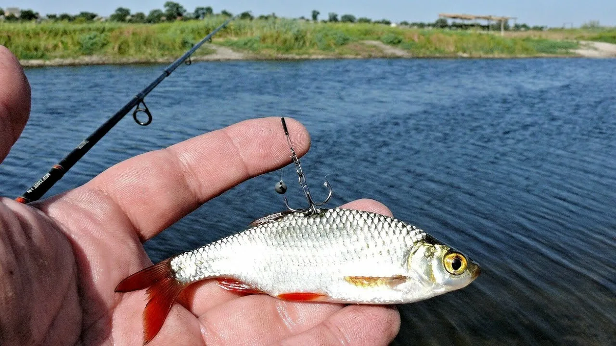 Фото с сайта: https://i.ytimg.com/vi/tFe2o3nQgI0/maxresdefault.jpg