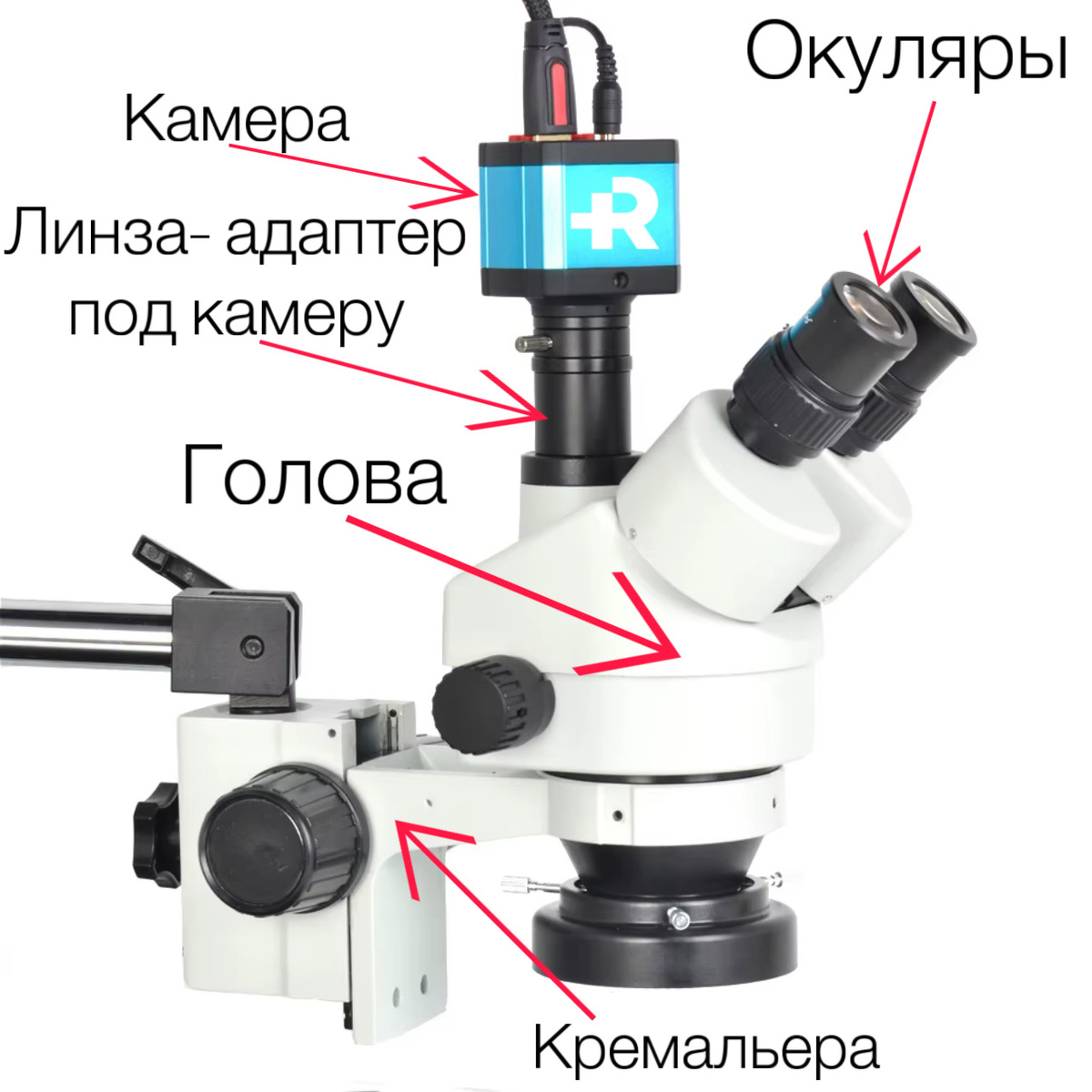 Устройство тринокулярного микроскопа