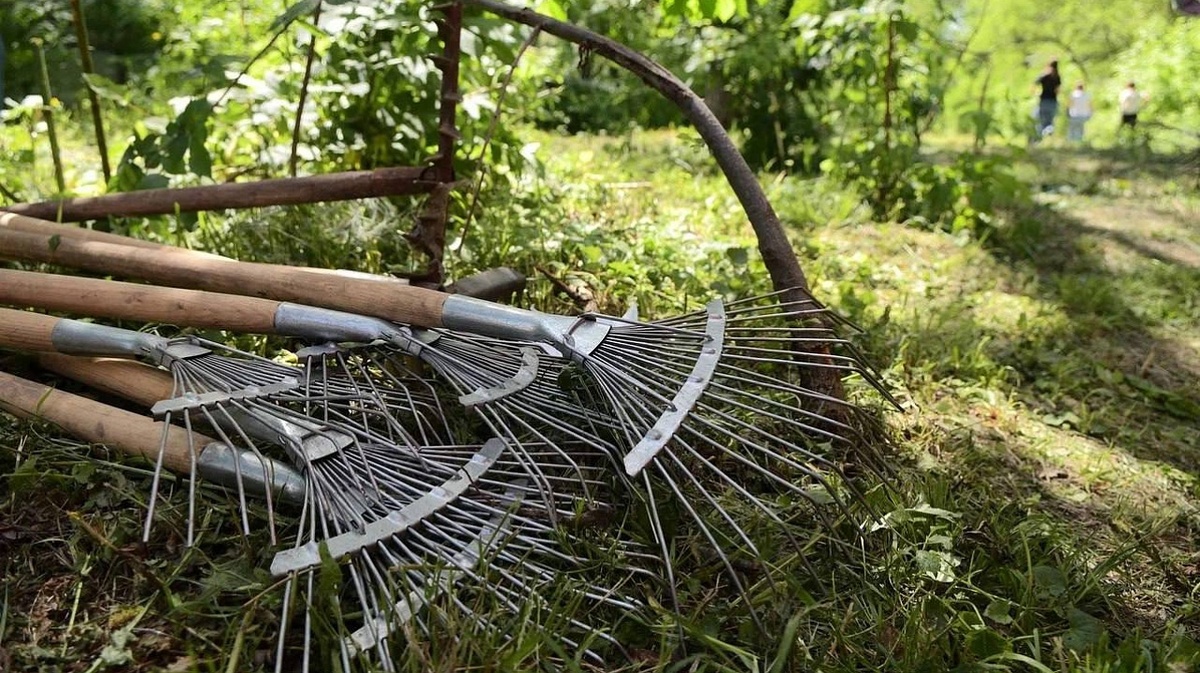     Фото: Пресс-служба администрации Краснодара