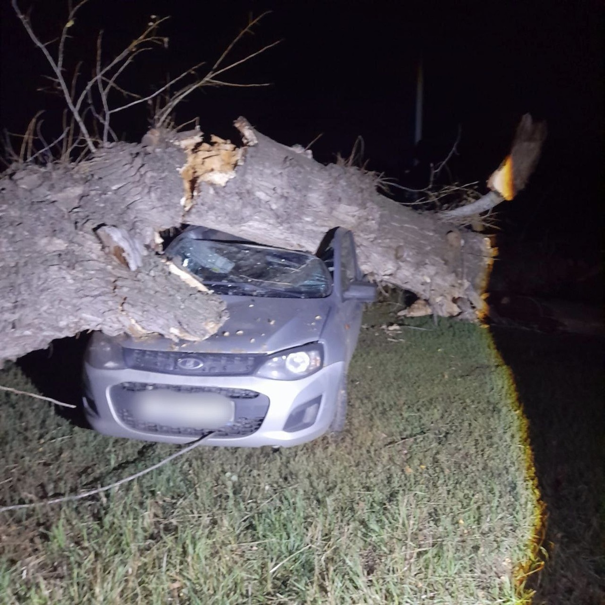     В Зауральной роще Оренбурга дерево упало на автомобиль Оренбуржье
📷    В Зауральной роще Оренбурга дерево упало на автомобиль Оренбуржье
