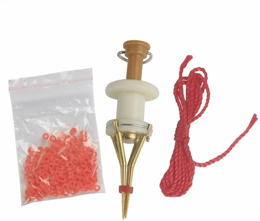 Фото с сайта: https://avatars.mds.yandex.net