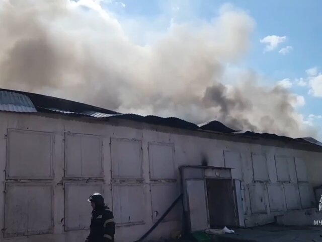    Фото: телеграм-канал "МЧС России"