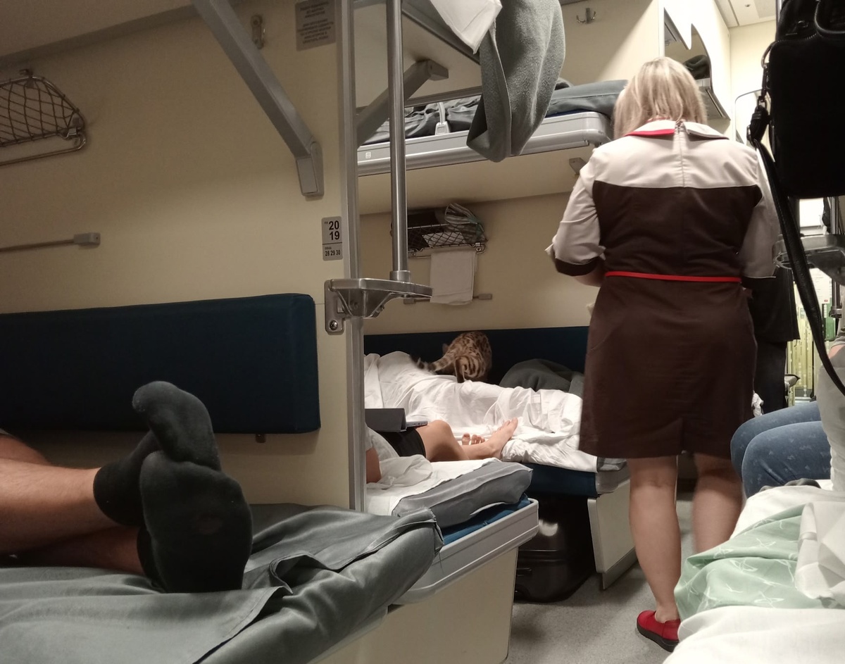    Мужчина спросил попутчицу, во сколько она проснется: утром пошла умываться - а нижнюю полку заняли