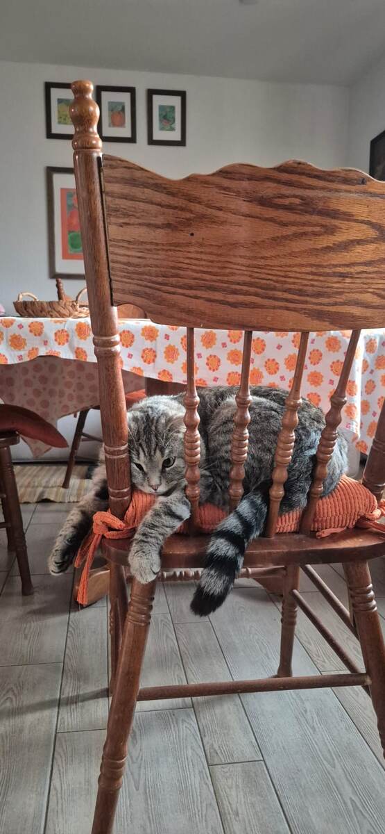 Читаю...Послушайте и вы, мой читатель. 