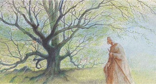 Кадр из мульприкационного фильма «Человек, который сажал деревья», Канада, 1997 год