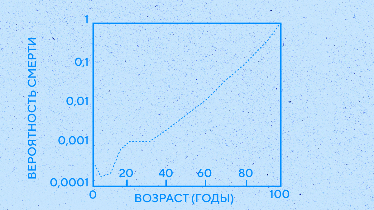     Фото: Доктор