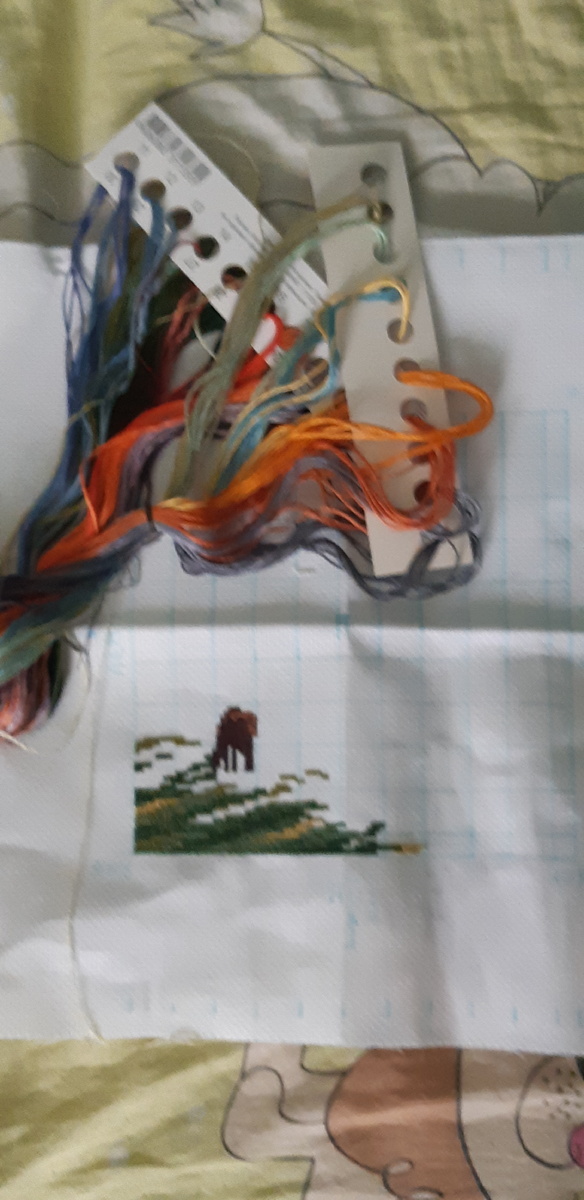 Это фото уже мелькало в одной  моей  статье. 