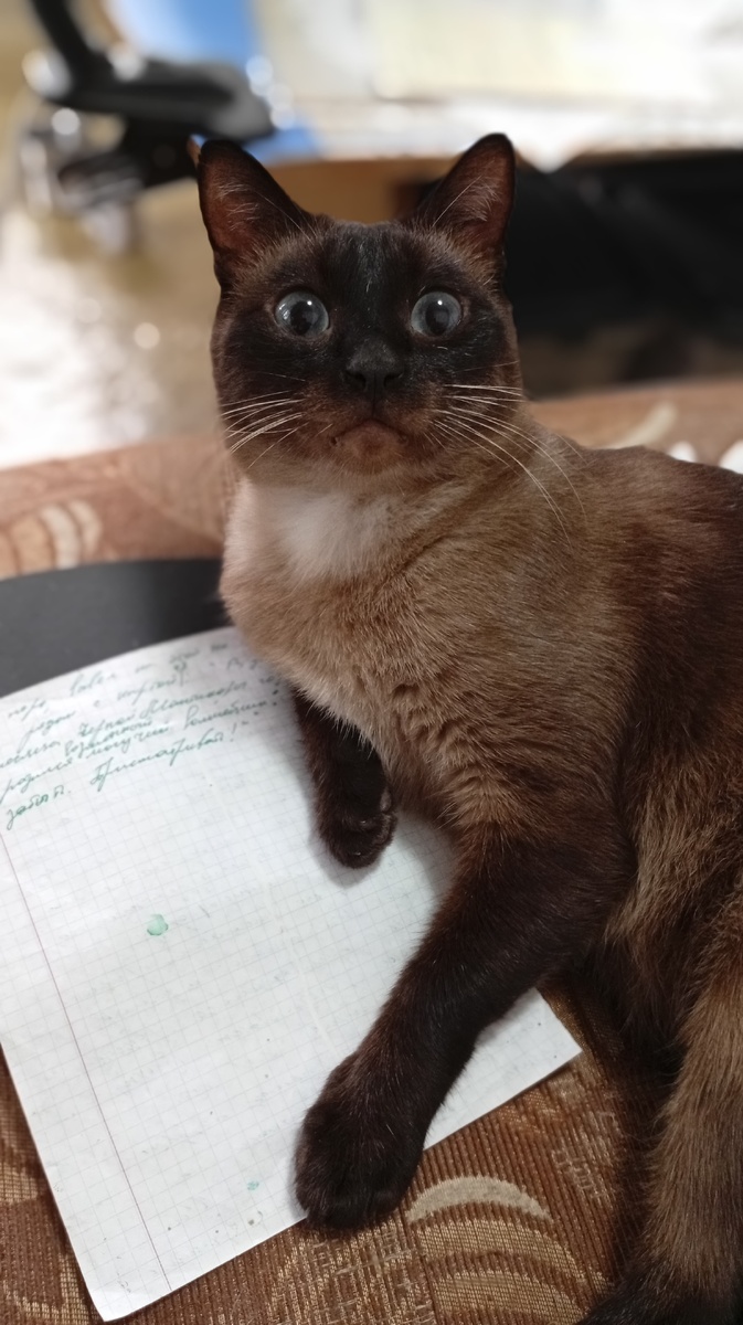 Фото из личного архива