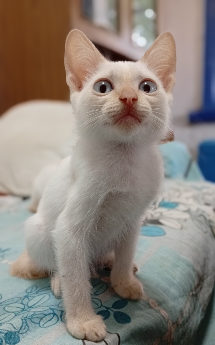 Фото из личного архива