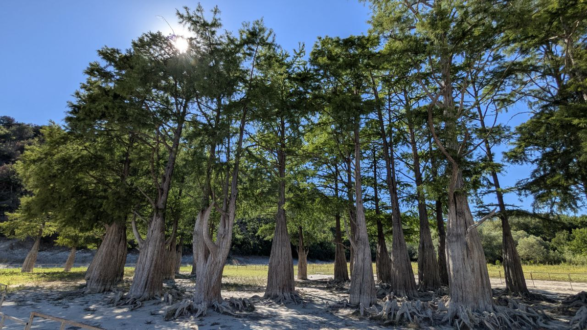 Сукко 2025. Июль.