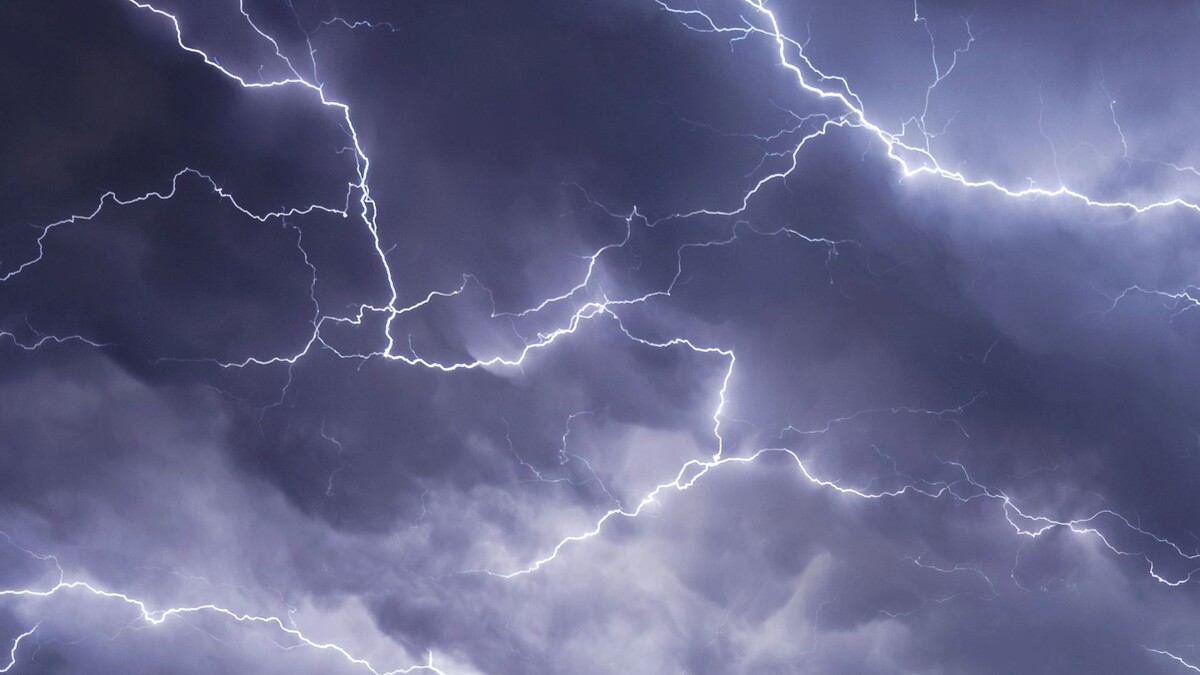    Фото: Menno van der Haven / Shutterstock / Fotodom