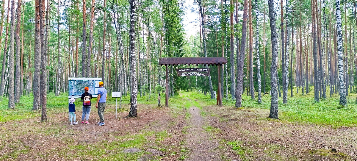 Вход на тропу «Сябрыньский перекрёсток»